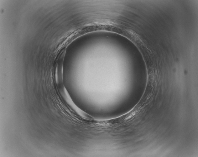 X0000054411110200507291135