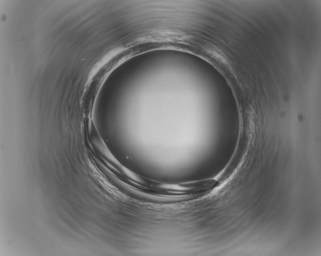 X0000054411114200507291135
