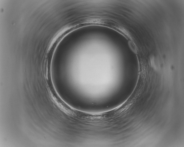 X0000054411131200507291136