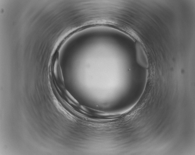 X0000054411132200507291136