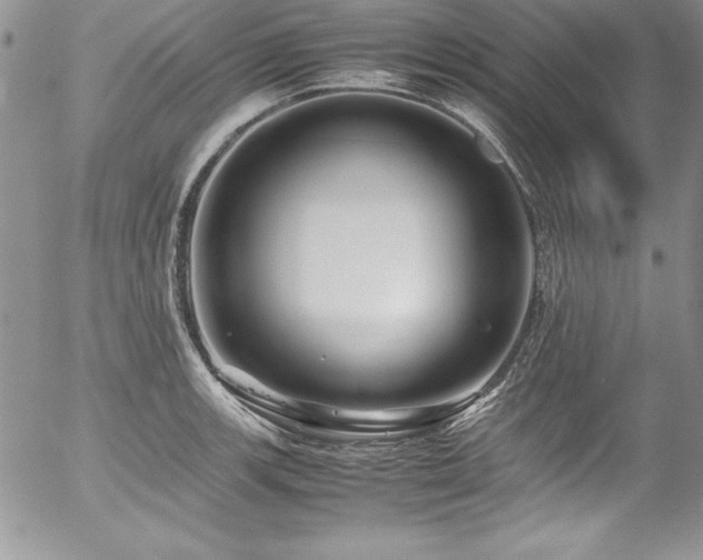 X0000054411139200507291136