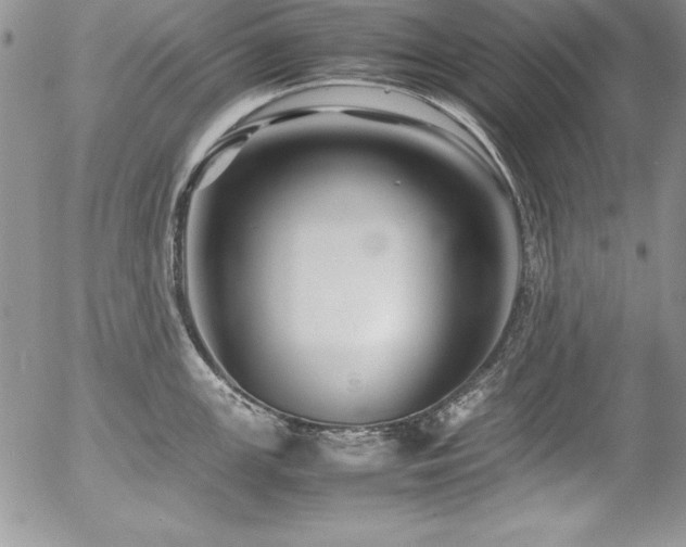 X0000054411147200507291136