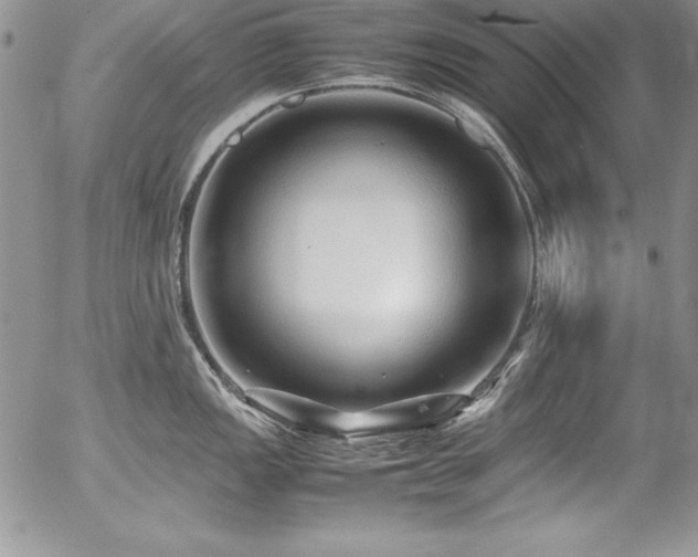 X0000054411149200507291136