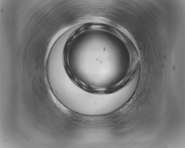 X0000054411152200507291136