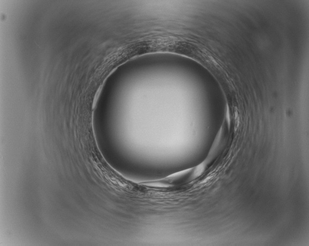 X0000054411153200507291135