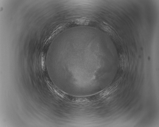 X0000054411154200507291135