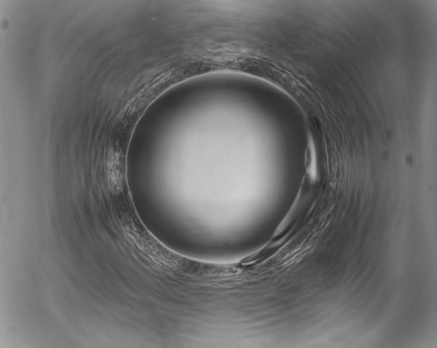 X0000054411156200507291135