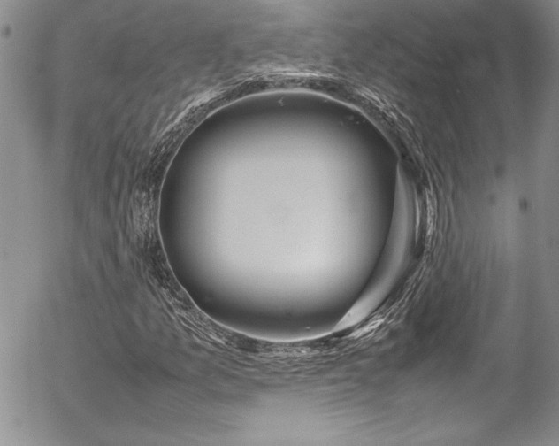 X0000054411157200507291135
