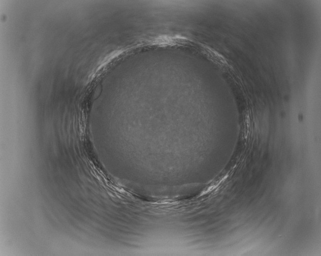 X0000054411158200507291135