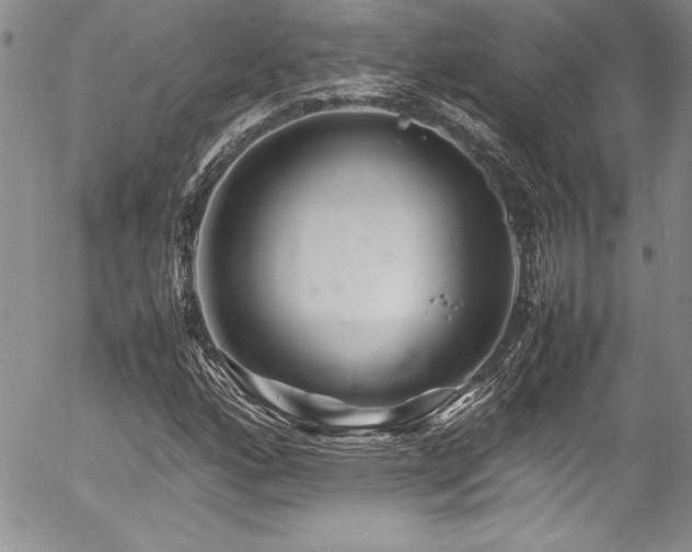 X0000054411160200507291135