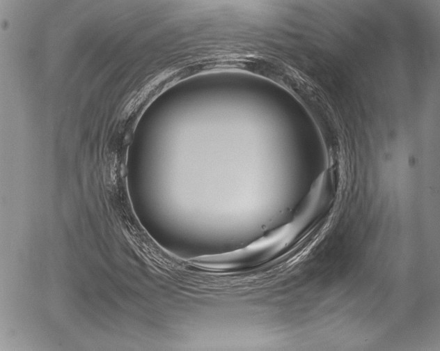 X0000054411161200507291135