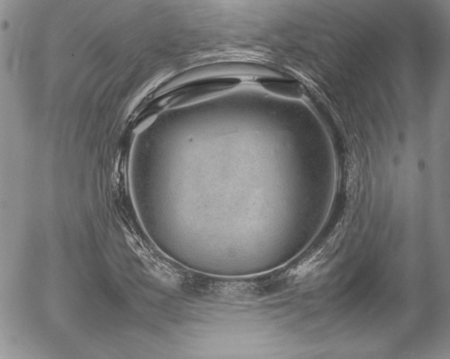X0000054411163200507291135