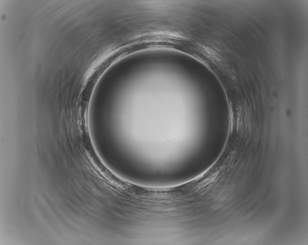 X0000054411164200507291135