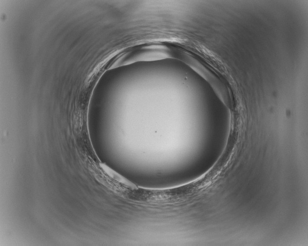 X0000054411169200507291135