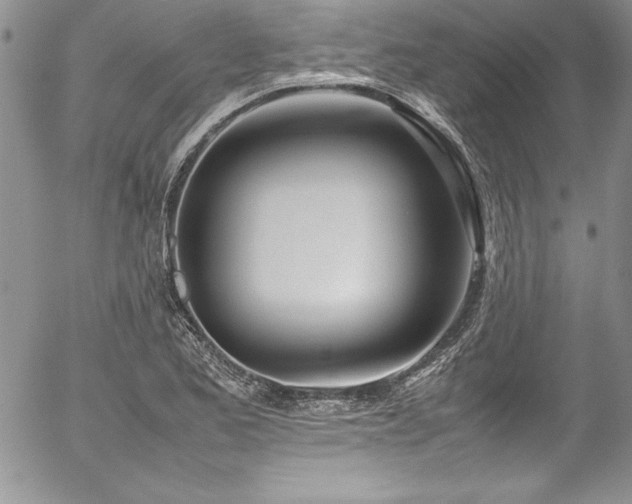 X0000054411173200507291135