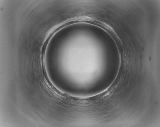 X0000054411176200507291135