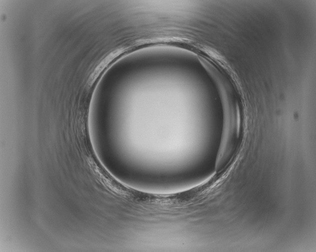X0000054411177200507291135