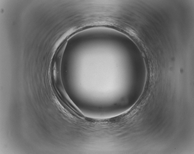 X0000054411181200507291135