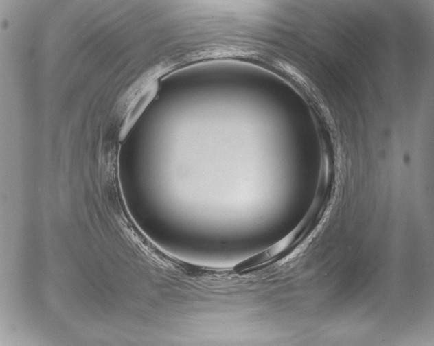 X0000054411185200507291135