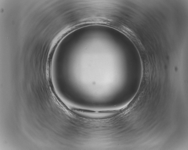 X0000054411188200507291135