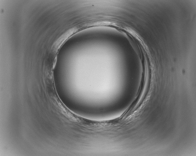 X0000054411193200507291135