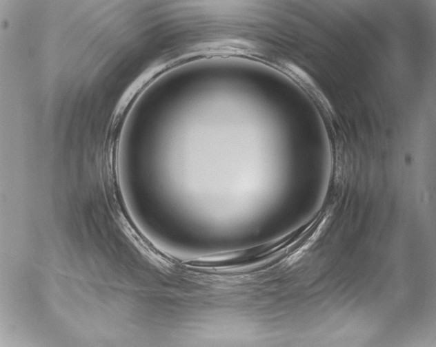 X0000054411196200507291135
