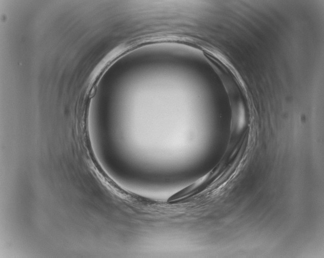 X0000054411197200507291135