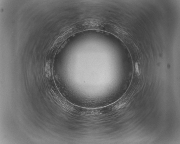 X0000054411203200507291134