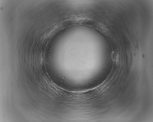 X0000054411204200507291134