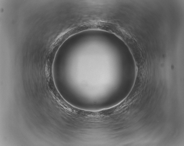 X0000054411206200507291134