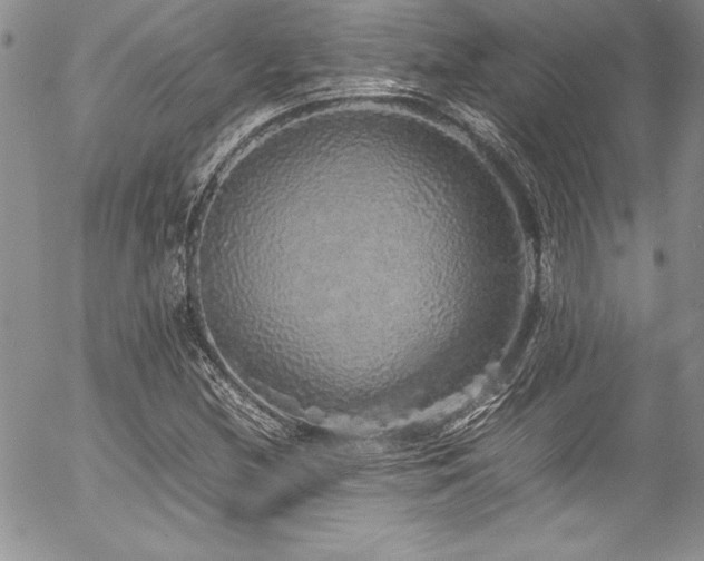 X0000054411212200507291134