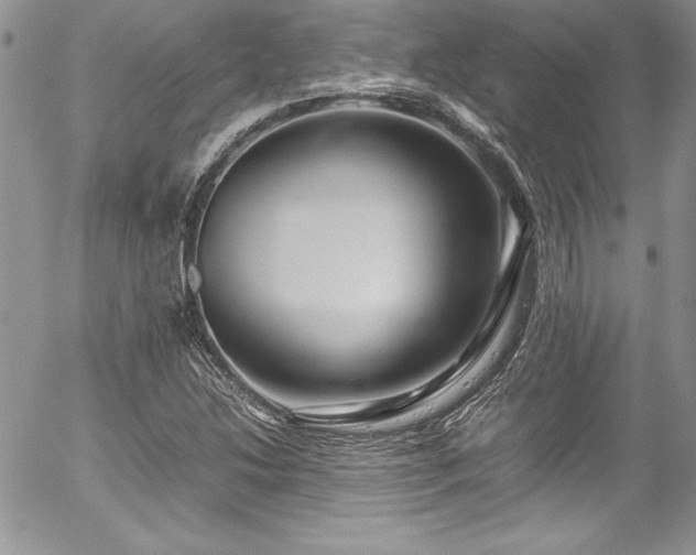 X0000054411214200507291134