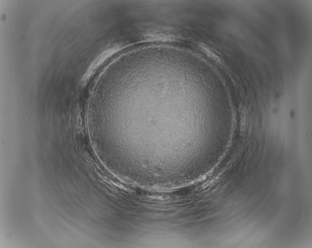X0000054411215200507291134