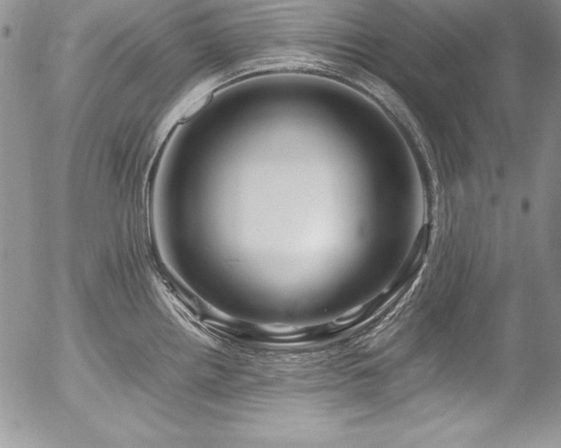 X0000054411242200507291134