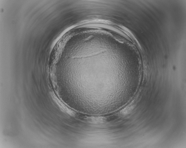 X0000054411244200507291134
