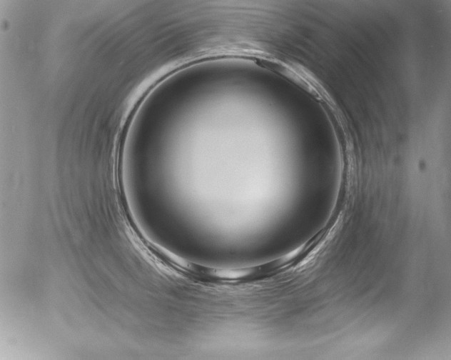 X0000054411246200507291135