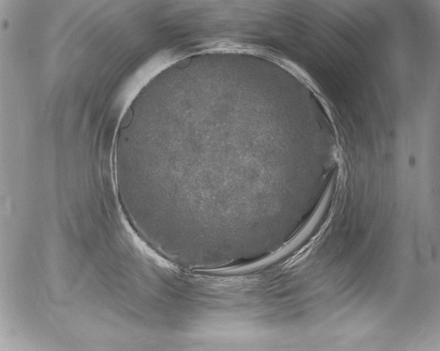 X0000054411247200507291135