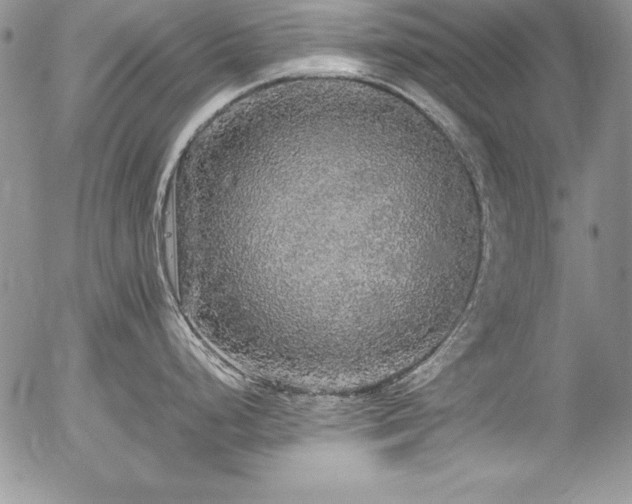 X0000054411248200507291135
