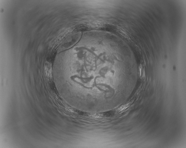 X0000054411251200507291134