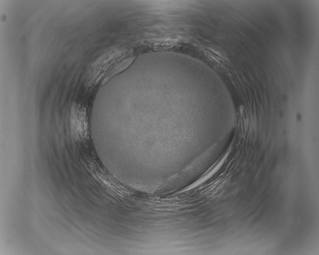 X0000054411252200507291134