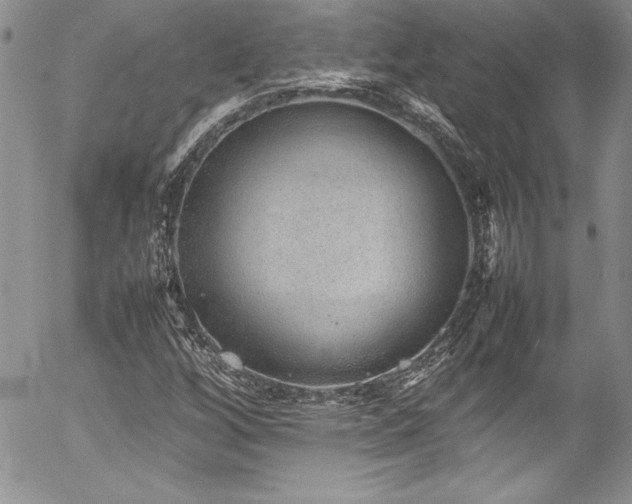 X0000054411256200507291134