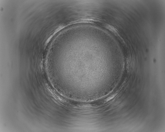 X0000054411260200507291134