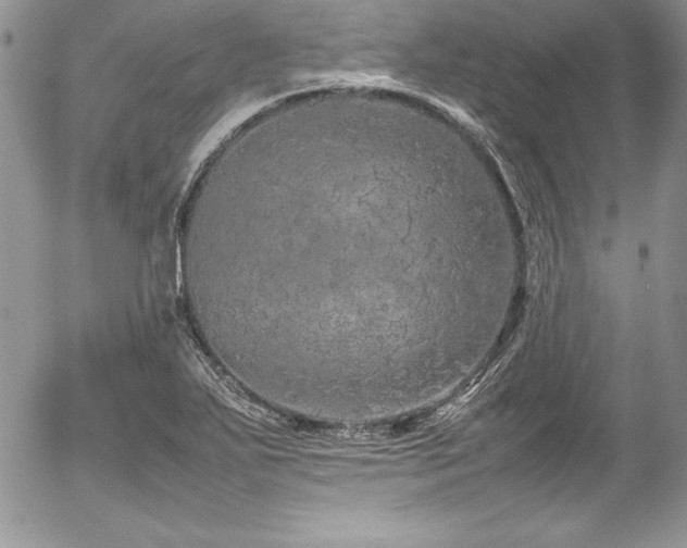 X0000054411271200507291133