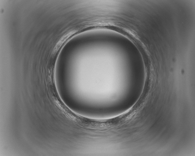 X0000054411273200507291133