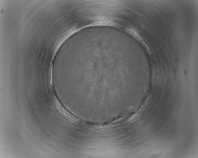 X0000054411276200507291133