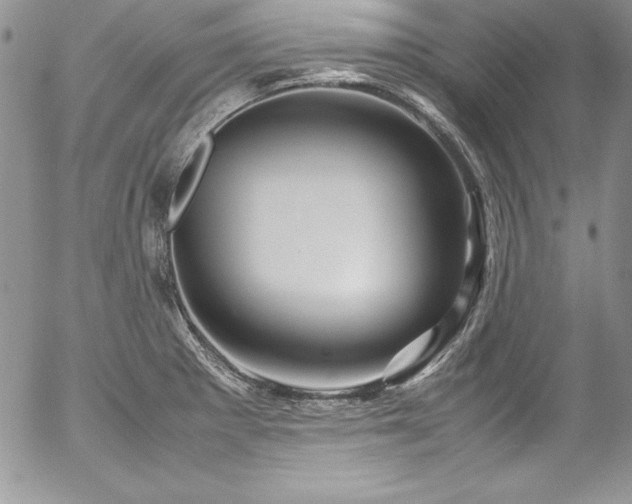 X0000054411281200507291133