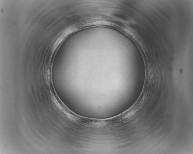 X0000054411282200507291133