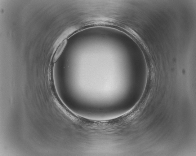 X0000054411285200507291133