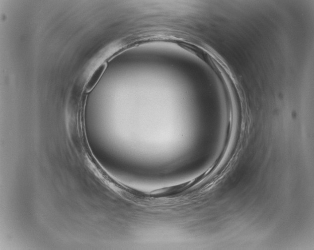 X0000054411293200507291133