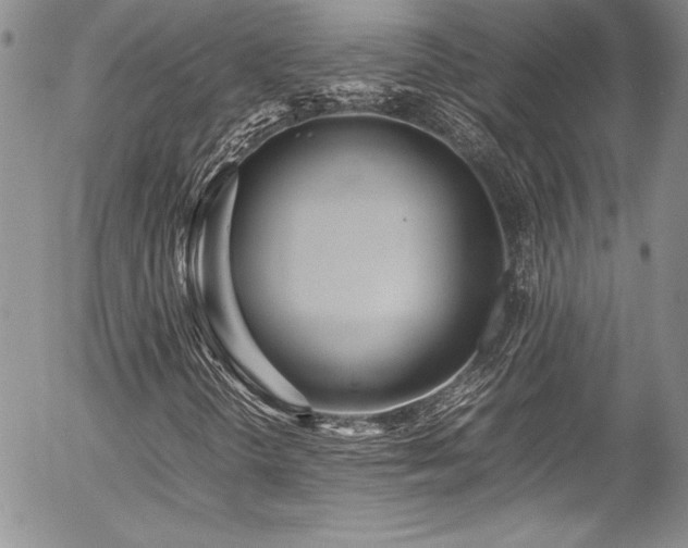 X0000054411298200507291132